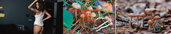 эйфоретик Балахна