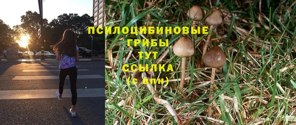 стафф Баксан