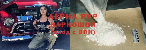 ПСИЛОЦИБИНОВЫЕ ГРИБЫ Осинники