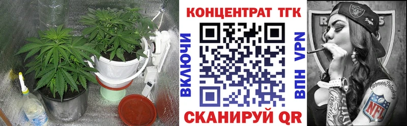 сколько стоит  Петровск-Забайкальский  ТГК Wax 